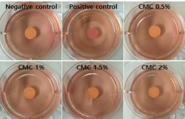 CMC 세포독성 시험결과 (Agar overlay)