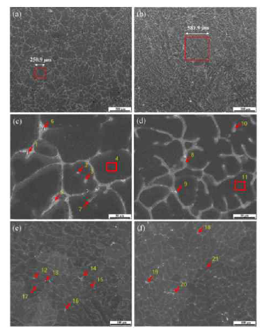 SEM micrographs of the (a), (c) as-cast EMS; and (b), (d) as-cast DCC 7075 alloys. SEM micrographs of the homogenized (e) EMS and (f) DCC alloys