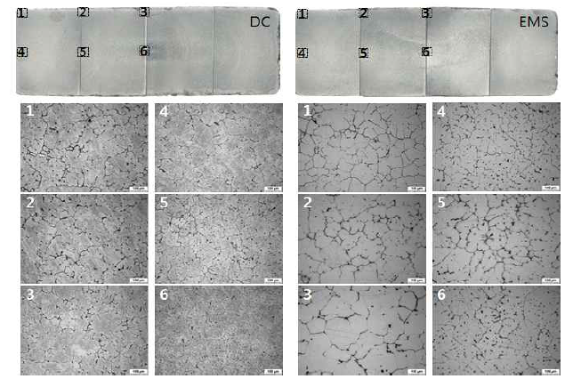 고용질 Al합금의 DC/EMS 슬라브 거시 및 부위별 미세조직