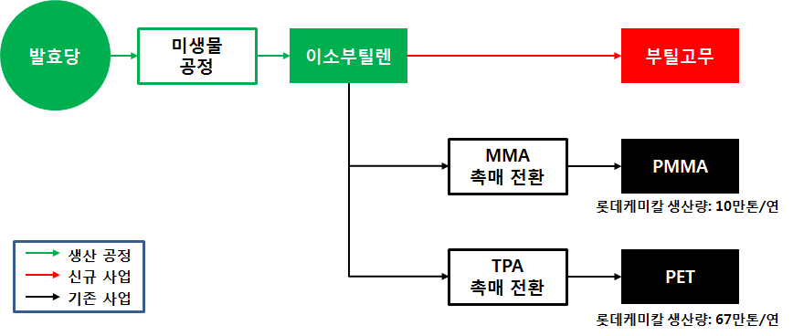 이소부틸렌 사업화 전략