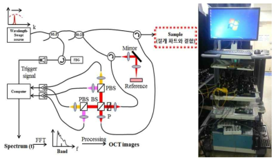 고속 편광 광간섭 단층 영상 시스템의 도식(좌)과 실제 시스템 (우)