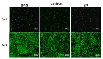 콜라젠, Co-dECM, 실크의 세포 증식율 테스트 결과