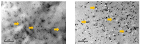 TEM image: Co-dECM(좌), 콜라젠(우)