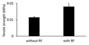 리보플라빈 (RF)을 섞은 Co-dECM gel의 인장강도