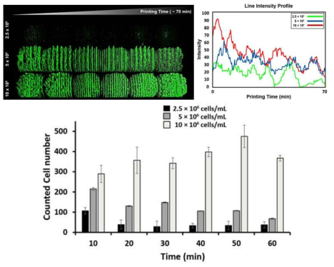 세포 농도의 변화에 따른 잉크젯 프린팅 실험