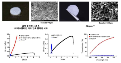 제작된 인공각막용 콜라겐 시트와 상용 제품