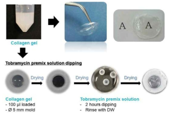 일반 콜라겐 쉴드 및 tobramycin 항생제를 첨가한 기능성 콜라겐 쉴드의 개발