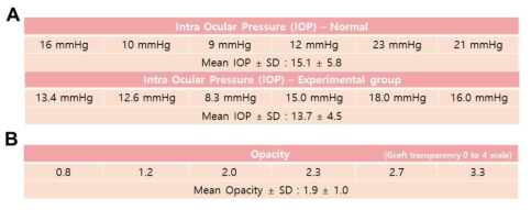 비글견 자가각막 이식모델에서 안압 및 혼탁도 측정값