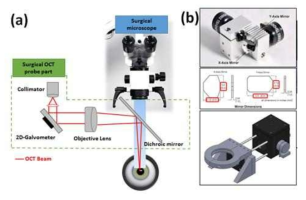 (a) 각막 모니터링을 위한 수술용 현미경 연동 OCT 프로브 구성도, (b) OCT 프로브 2축 갈보 스캐너와 OCT 프로브 예상도