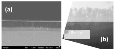 40℃에서 증착된 상압 플라즈마 실리콘 박막의 단면 분석 결과. (a) SEM 사진, (b) TEM 분석 사진