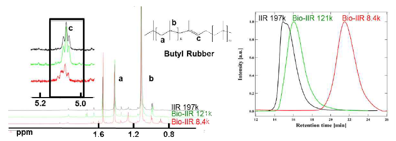 기존 및 새로운 합성시스템에서의 부틸고무 1H-NMR과 GPC 결과