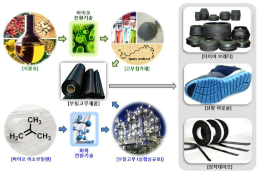 바이오 기반의 부틸고무배합 첨가제 및 부틸고무 제품 제조 개념도