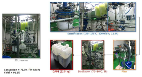 DC-A1 촉매를 이용한 50 L 규모의 DAPE 합성