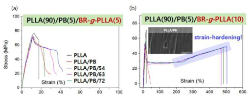 강화된 PLLA의 인장강도 시험 결과 (a) 상용화제 5 wt%, (b) 상용화제 10 wt%