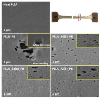 PLLA(87)/PB(5)/BR(100)-g-PLLA(8)의 인장시험 후 단면 SEM 이미지