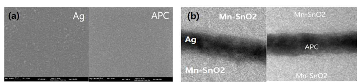 금속층 종류에 따른 다층 투명전도막의 특성 : (a) 금속층 표면 이미지 (b) 단면 이미지