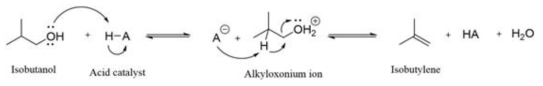 산 촉매 조건에서의 이소부탄올로부터 이소부틸렌으로의 탈수 반응 기작