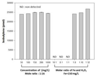 철 및 과산화수소의 농도에 따른 펜톤 조건에서의 이소부틸렌 전환