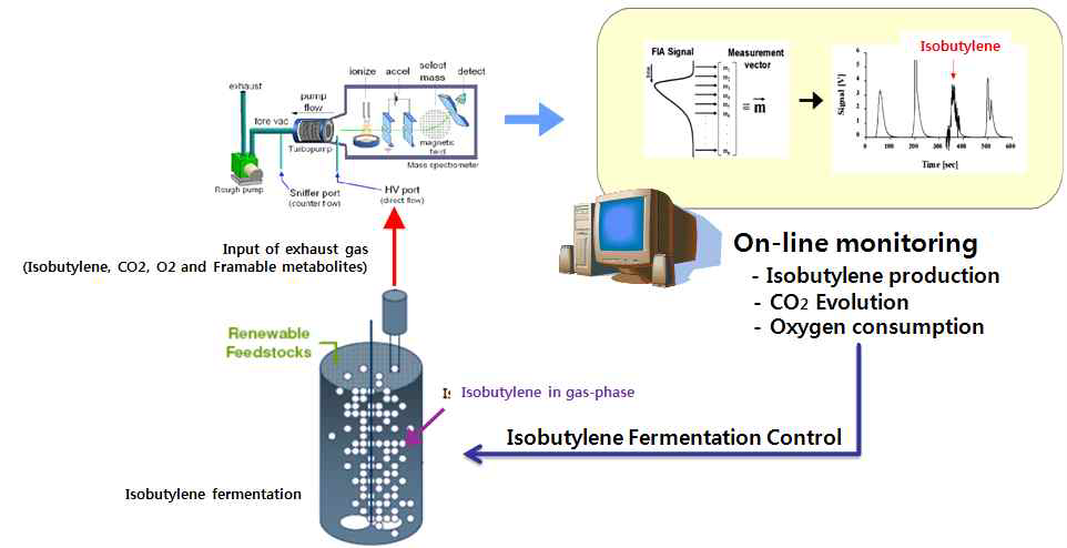 발효공정상에서의 이소부틸렌 실시간 분석시스템