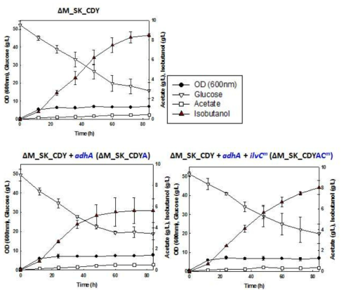 NADH 의존적인 ketol-acid reductoisomerase와 alcohol dehydrogenase를 도입하였을 경우 이소부탄올 생산 양상