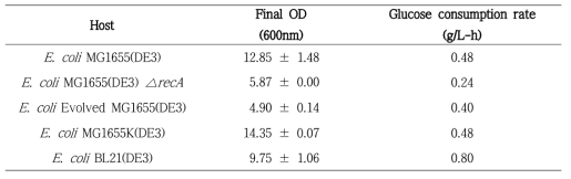 recA gene knock-out 균주 배양 실험 결과