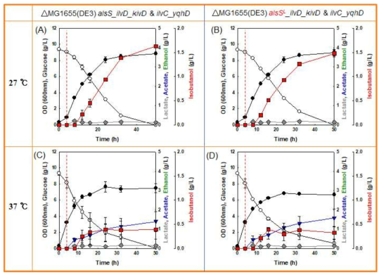 L. lactis 유래 alsSL 유전자 도입된 E. coli △MG1655(DE3)의 회분식 배양 결과 A, C – E. coli △MG1655(DE3) pCDFDuet-1_alsS_ilvD_kivD & pETDuet-1_ilvC_yqhD B, D - E. coli △MG1655(DE3) pCDFDuet-1_alsSL_ilvD_kivD & pETDuet-1_ilvC_yqhD