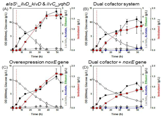 각각의 시스템이 도입된 E. coli △MG1655(DE3)의 회분식 배양 결과 A - E. coli △MG1655(DE3) alsSL_ilvD_kivD & ilvC_yqhD, B - E. coli △MG1655(DE3) alsSL_ilvD_kivD & ilvC_yqhD / dual cofactor, C - E. coli △MG1655(DE3) alsSL_ilvD_kivD & ilvC_yqhD /noxE, D - E. coli △MG1655(DE3) alsSL_ilvD_kivD & ilvC_yqhD / dual cofactor/noxE