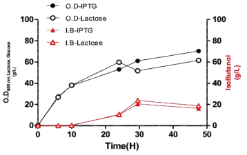 IPTG와 lactose를 이용한 이소부탄올 생산 결과