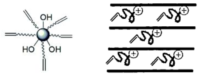 표면에 이중 결합을 갖는 실리카 혹은 silicate