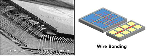 SEM image and schematic diagram of wire bonding