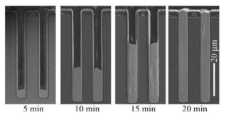 Bottom-up filling based on the bistability of suppressor (Extreme Bottom-Up Superfilling of Through-Silicon-Vias by Damascene Processing: Suppressor Disruption, Positive Feedback and Turing Patterns, T. P. Moffat and D. Josell, J. Electrochem. Soc., 159, D208 (2012).)