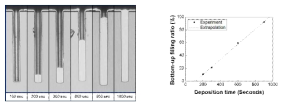 TSV filling time에 따른 bottom-up filling 관찰