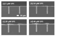 2 ml/l Sup, 6 ml/l Lev 조건에서 (a) 5, (b) 10, (c) 20, (d) 40 μM SPS 첨가에 따른 trench filling SEM 단면 image