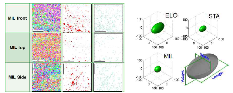 α -cluster의 EBSD 분석 이미지와 형태(크기)