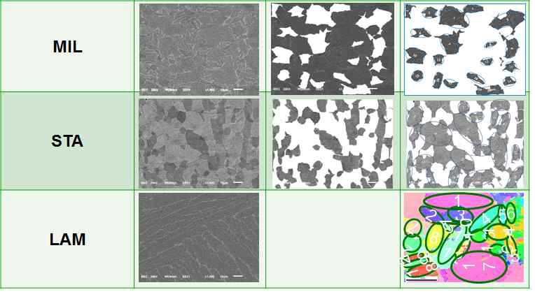 SEM microstructure images