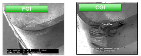 SEM micrograph of CBN tool after cutting FGI and CGI