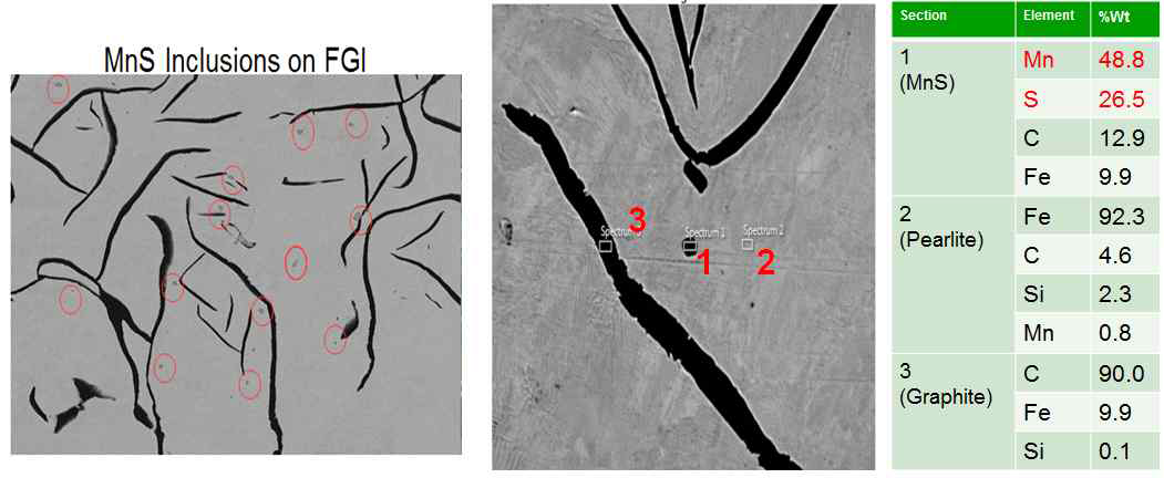 The presence of MnS inclusions throughout the FGI