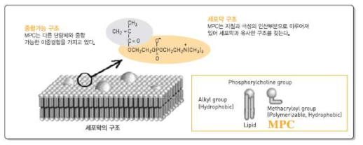 세포막 구조와 고분자 미셀(일본유지)