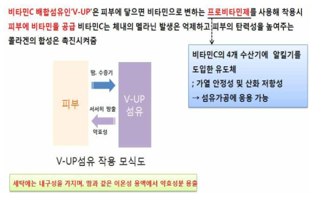 “V-UP” 제품의 작용 모식도