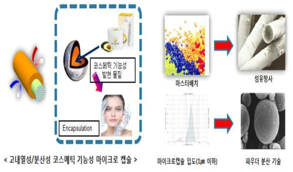 코스메틱 기능성 물질 담지 마이크로 캡슐