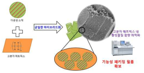 다공성 무기담지체와 고분자 매트리스 하이브리드 복합화