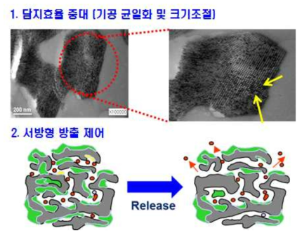 다공성 무기 담체 담지효율 증대 및 기능성 타겟 물질 담지/방출제어