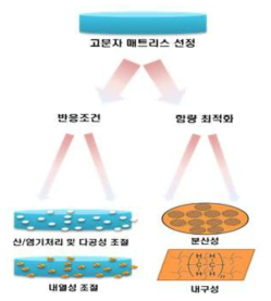 최적화 고분자 매트릭스 내 특성 분석 및 기능성 물질 방출 제어