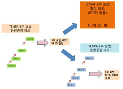 표적지향증폭형 파클리탁셀 나노입자 TENPA의 변경된 투약계획