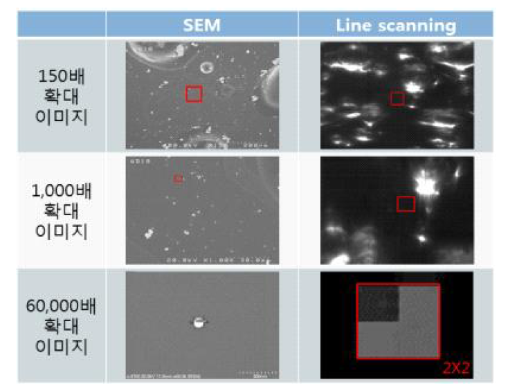 100nm Fe_SEM & UV line scanning image 비교