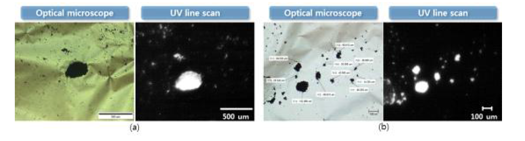 광학 현미경과 UV line scanning의 이미지 획득 결과. (a) Carbon, (b) Iron