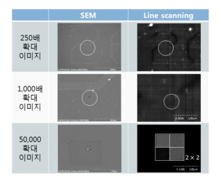 80nm Cr_SEM & UV line scanning image 비교