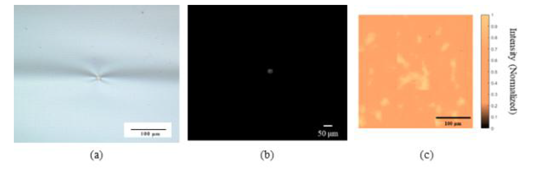 펠리클의 10x10μm2 크기 오염물 검출 결과 (a) 광학현미경, (b) UV line scanning, (c) ESLI