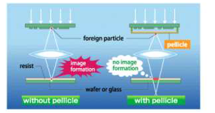 웨이퍼로의 오염물질의 전사를 막는 펠리클의 원리