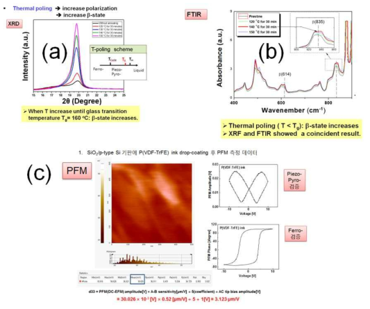 코팅한 PVDF-TrFE 재료의 물성분석: (a) XRD, (b) FTIR, (c) PFM (주관기관과 공동연구 수행)